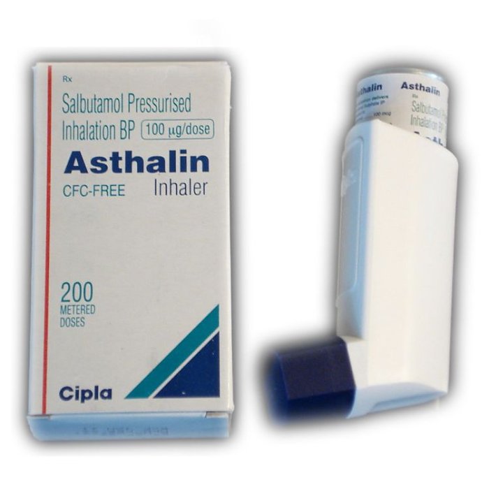 Asthalin HFA Inhaler 100 mcg